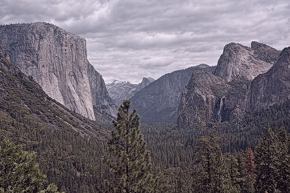 Yosemite National Park