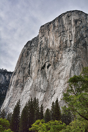 Yosemite National Park