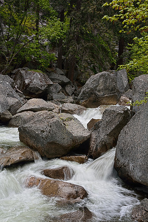 Yosemite National Park
