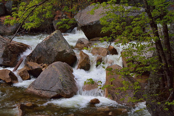 Yosemite National Park