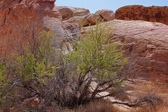 Valley of Fire - Nevada
