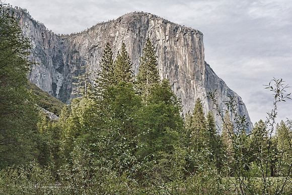 Yosemite National Park