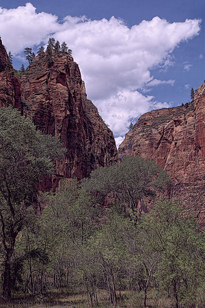 Zion National Park