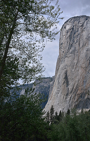 Yosemite National Park