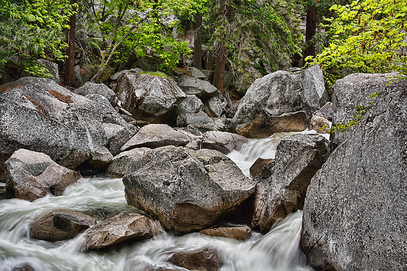 Yosemite National Park