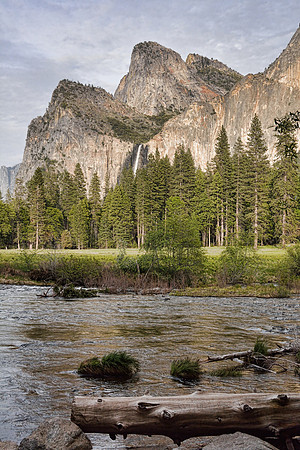 Yosemite National Park
