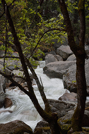 Yosemite National Park