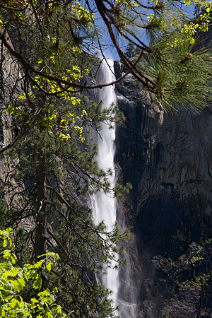 Yosemite National Park