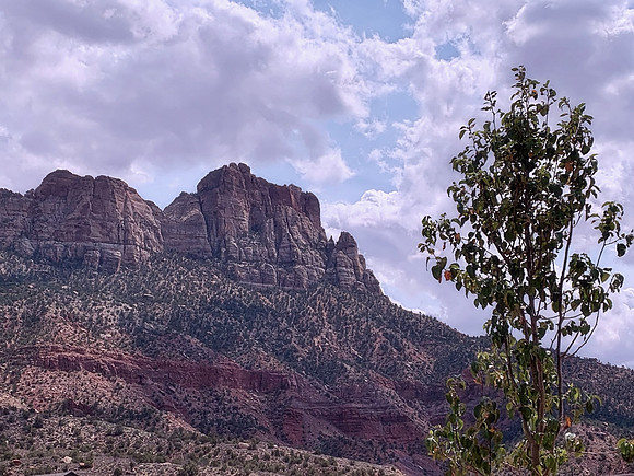 Zion National Park