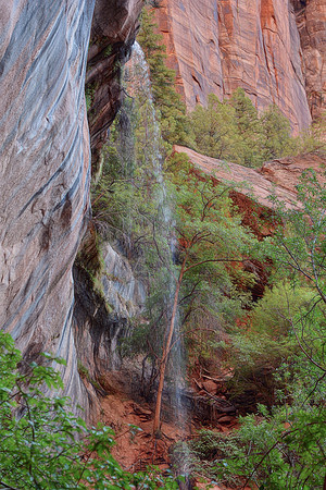 Zion National Park