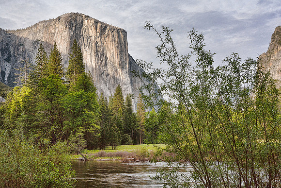 Yosemite National Park