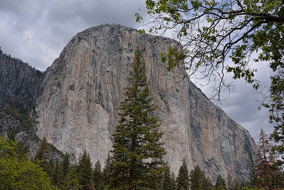 Yosemite National Park