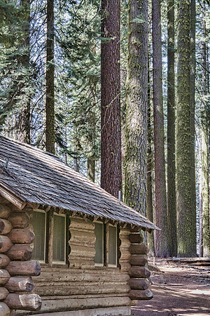 Yosemite National Park