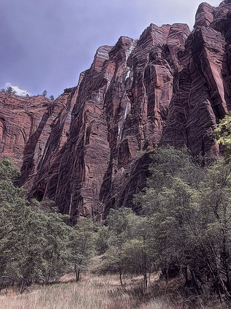 Zion National Park