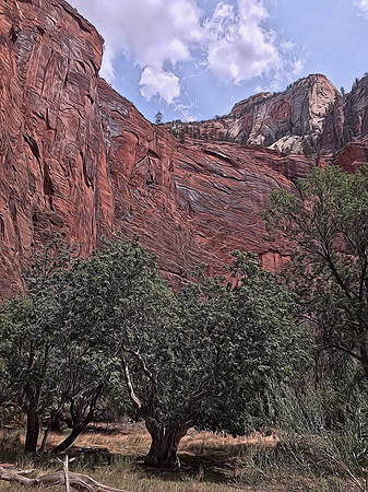 Zion National Park