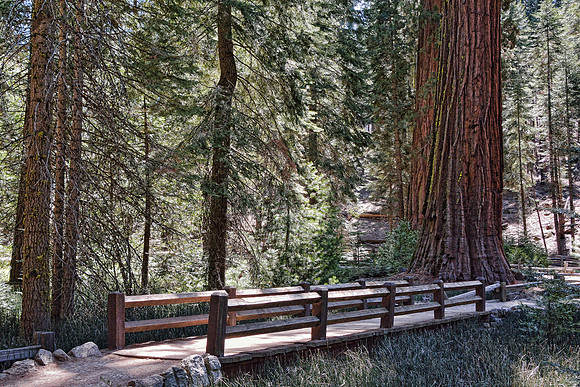 Yosemite National Park